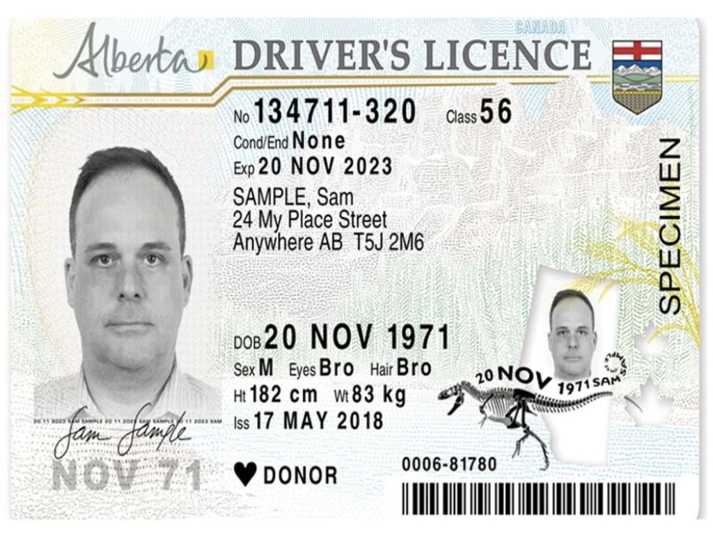 Alberta considering adding citizenship to driver's licences | Edmonton Journal