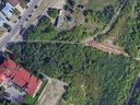 Overhead view of area where Edmonton police believe a machete was discarded after the Oct. 16, 2024, murder of Aaron Staszko.