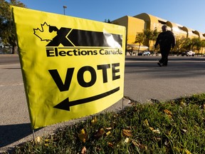 Youth Voting