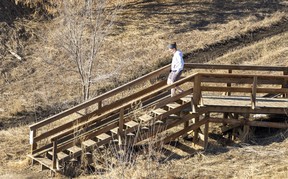 Edmonton River Valley