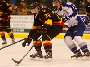 Belleville Bulls forward David Tomasek