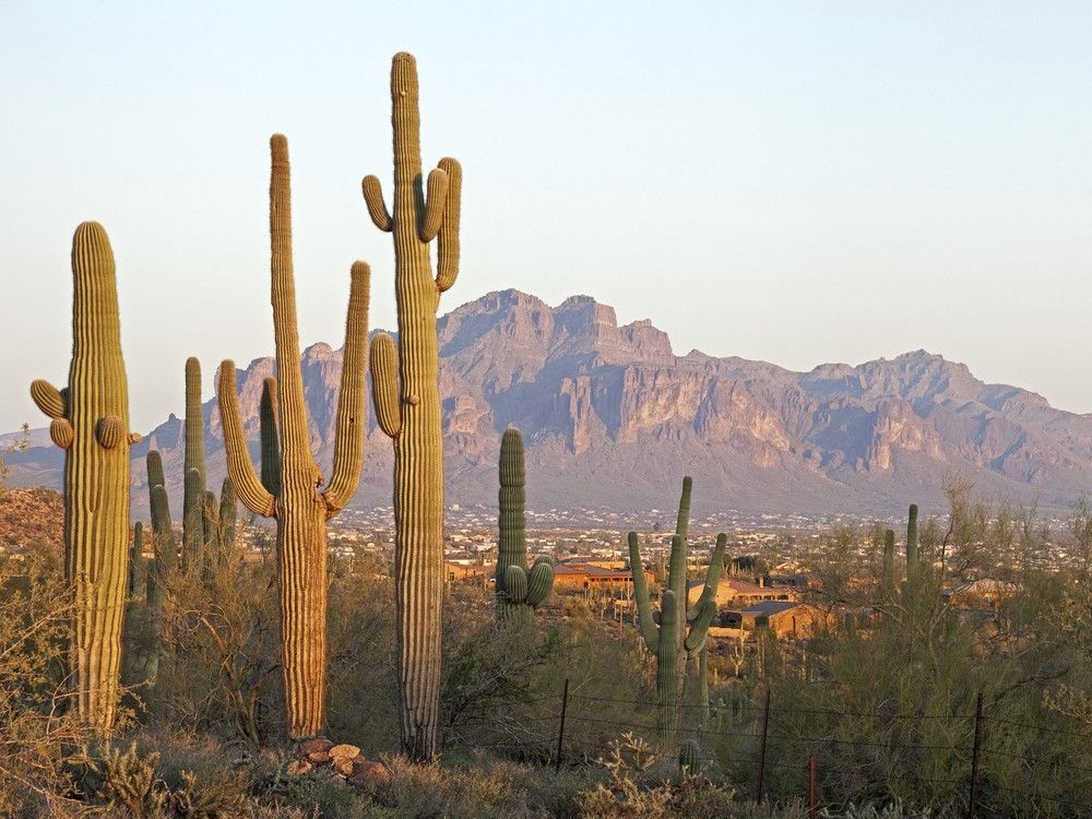 Canadian buyers are fleeing U.S. hotspots, leaving Sunbelt realtors reeling