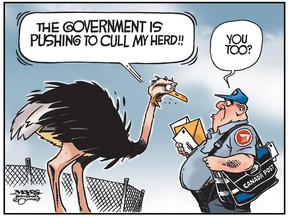 Edmonton Journal editorial cartoons for October 2025 Edmonton Journal Edmonton Journal editorial cartoons for October 2025 Edmonton Journal