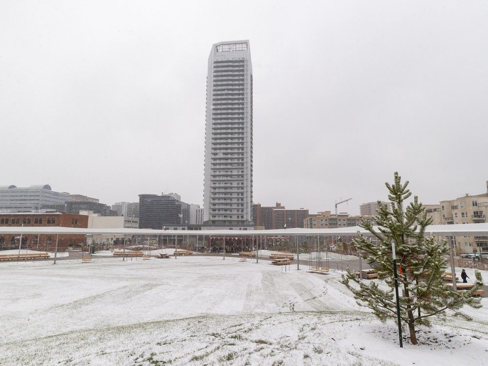  The 36-storey rental project, The Parks, is seen towering over a park on Friday, November 7, 2025, in Edmonton.