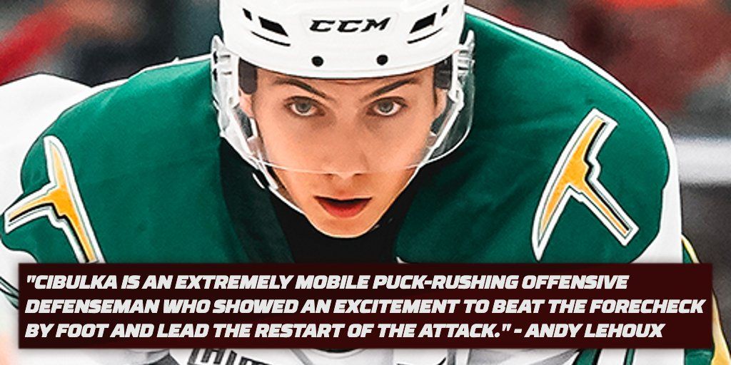 'Nice pickup': Oilers pro prospect bonanza continues, this time signing a Czech defenceman