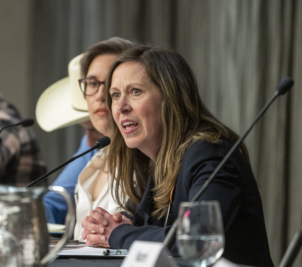 Estabrooks seeking Alberta NDP nomination in Edmonton-Strathcona