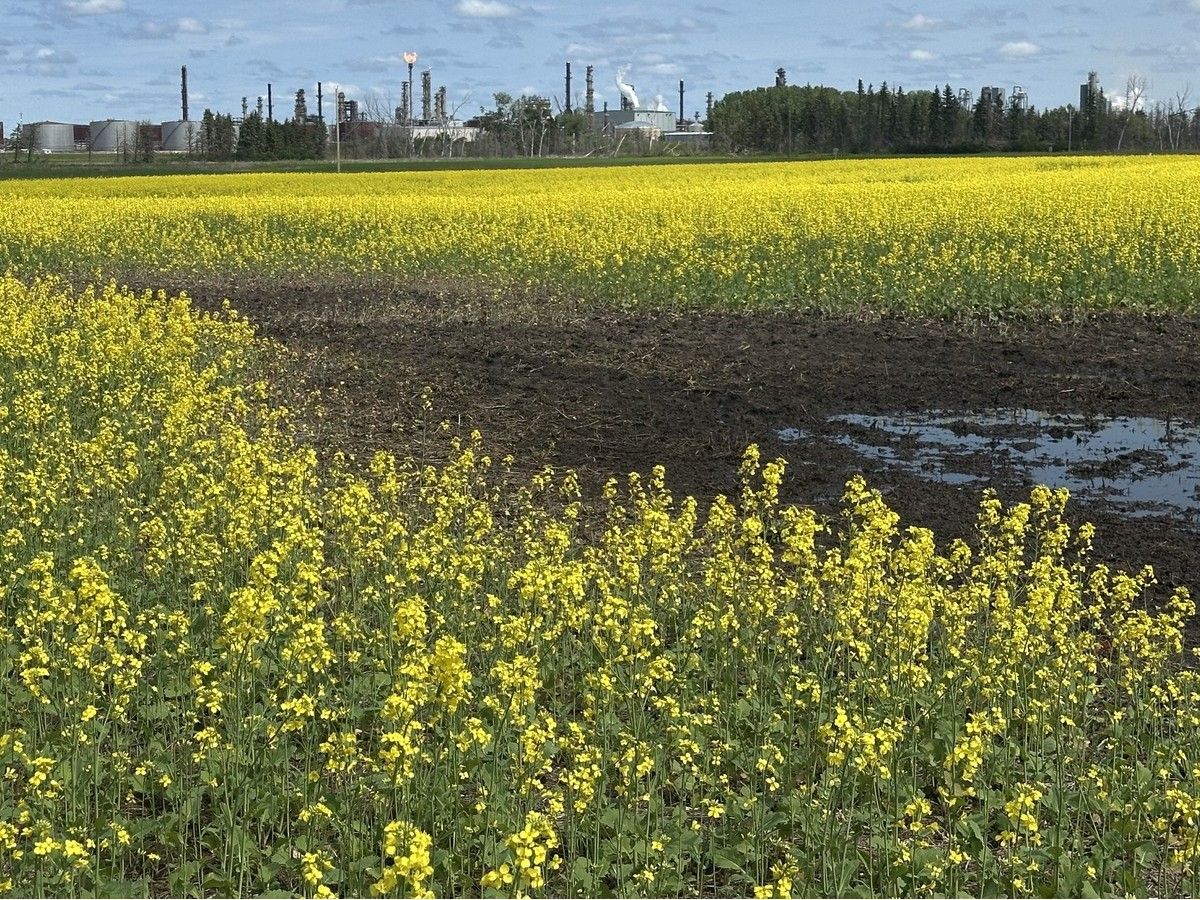 A new $13 billion Meta data centre planned for Sturgeon County, north of Edmonton, will be the company’s first data centre in Canada