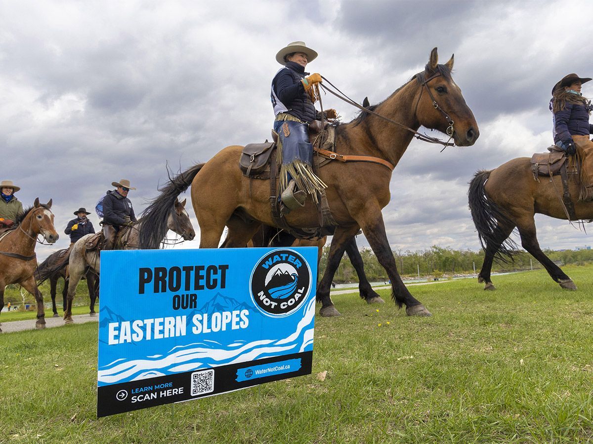 Musician Corb Lund led a petition effort to prevent coal mining in the Eastern Slopes of the Rockies.