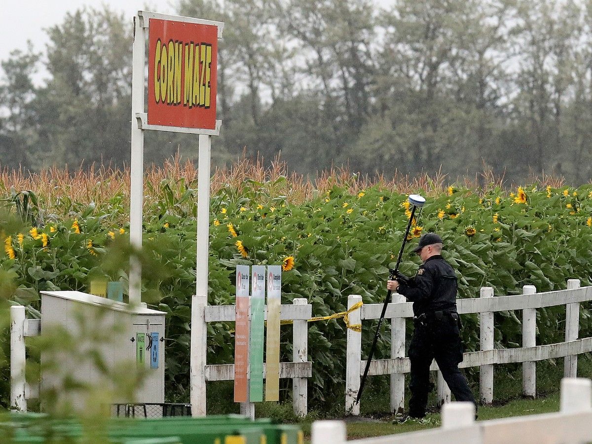 edmonton corn maze stabbing