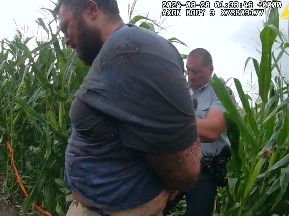 ferzli arrest