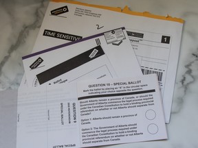 2026 referendum ballot
