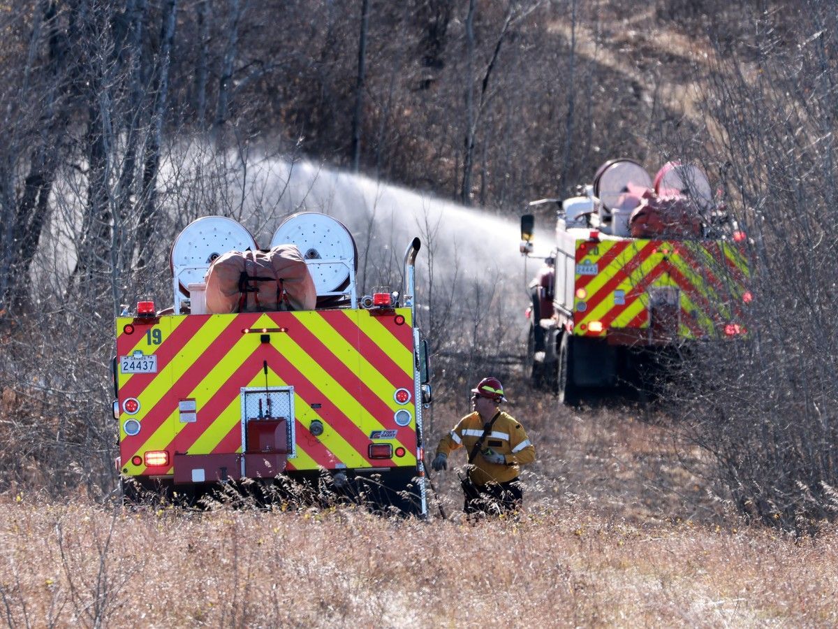 Wainwright
