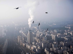 Seagulls flying over the rooftops of Paris in December 2016. File photo