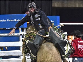 Jordan Hansen from Calgary gets bucked off in the bull riding event during the 44th Canadian Finals Rodeo at Northlands Coliseum in Edmonton, November 8, 2017.