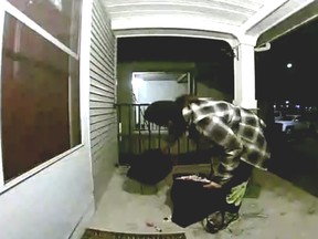 A candy thief caught on video at a home in the southeast Calgary neighbourhood of New Brighton