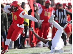 November 4, 2017 Calgary AB  U of A #15 Shaydon Philip get all misses  University of Calgary's #83  Brendon Thera-Plamondon heads for daylight during Canada West football playoff action at McMahon Stadium Saturday afternoon.