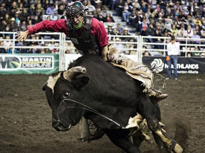 Dakota Buttar takes part in the bull riding event during the 42nd Canadian Finals Rodeo at Rexall Place in Edmonton on Nov. 13, 2015.