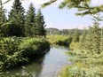 A classic "hopper bank" on the South Raven River.