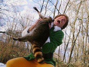 Will Ferrell in "Elf." (Supplied)