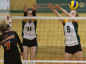 University of Alberta Panda's Kory White (11) and Vanessa Jarman (8) try and block Thompson Rivers Wolfpack Yevgeniya Nyukhalova's (7) shot during Canada West volleyball action at Saville Community Sports Centre on Dec. 2, 2017.