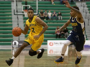 University of Alberta Golden Bears guard Andre Kelly (2) dribbles away from the Brandon University Bobcats' Pookie Saunders (5) at the Saville Community Sports Centre, in Edmonton on Nov. 4, 2016. (File)
