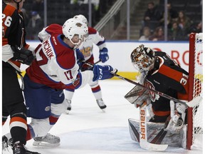 Edmonton Oil Kings' Brendan Semchuk (17) is stopped by Medicine Hat Tigers goaltender Jordan Hollett at Rogers Place in Edmonton on Jan. 24, 2018. (File)