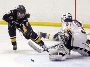 Mackenzie Dachuk, left, of the Peace Country Midget AA Elite Storm, has the puck poked off her stick by St. Albert Sharks goaltender Cecilia Michelutti in game one of the teams' playoff series on Saturday March 18, 2017 at Crosslink County Sportsplex, 5km north of  Grande Prairie, Alta. The Storm won 6-2.  Logan Clow/Grande Prairie Daily Herald-Tribune/Postmedia Network