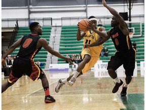 University of Alberta Golden Bears' Mamadou Gueye works against the University of Calgary Dinos, who won Saturday's Canada West final 84-77 at the Saville Community Sports Centre.