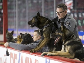 Sgt. Jim Gourley joins members of the Calgary police canine unit at the Scotiabank Saddledome in January 2017. Lyle Aspinall/Postmedia Network