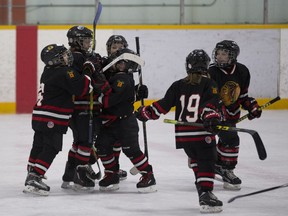 Two Beaumont Braves novice teams play each other during a minor hockey week game at the George S. Hughes South Side Arena, Jan. 13, 2017.