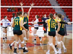 The University of Alberta Pandas will play in the national final for the second straight year after defeating the University of British Columbia Thunderbirds in four sets Saturday during the U Sports volleyball championships in Quebec City. (Mathieu Belanger/U Sports)
