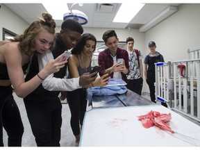 Students Brianna Martin, left, 16, Joel Hamilton, 16, Mya Robertson, 16, and Aldo Fumagalli, 17, from J. Percy Page School take pictures of a cat's heart on a surgical table at VCA Canada VetEmerg Animal Hospital on Wednesday, May 16, 2018 in Edmonton.