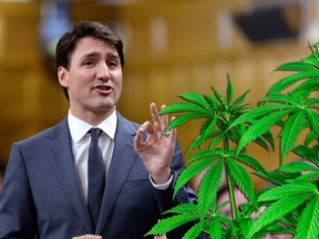 Prime Minister Justin Trudeau rises during Question Period in the House of Commons on Parliament Hill in Ottawa on Tuesday, May 1, 2018.