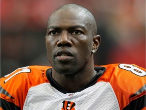 Terrell Owens #81 of the Cincinnati Bengals against the Atlanta Falcons at Georgia Dome on October 24, 2010 in Atlanta, Georgia.