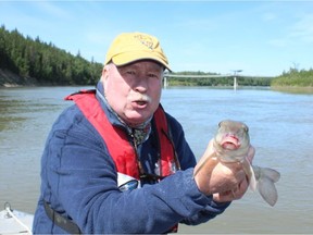 Neil with a North Saskatchewan River sucker. Neil Waugh/Postmedia