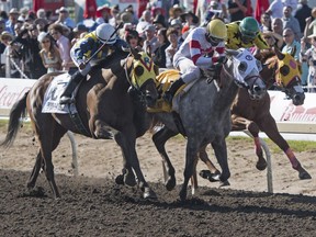 Jockey Rico Walcott on Chief Know It All came up the middle to win at the 88th running of the Canadian Derby at Northlands Park in Edmonton on Aug. 19, 2017.