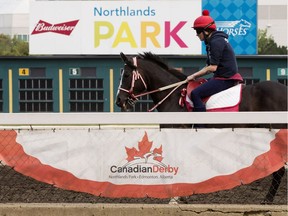 Horses work out on the track prior to the post position draw for the 89th Canadian Derby at Northlands Park in Edmonton on Aug. 22, 2018.