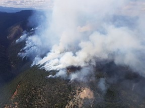 An aerial view of the Placer Mountain wildfire on July 21, 2018, which had grown to more than 500 hectares as of July 26. The fire is about 37 kilometres south of Princeton, B.C.