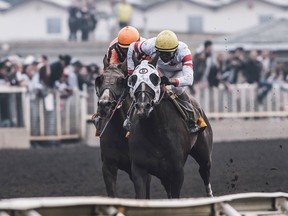 Sky Promise, with jockey Rico Walcott, crosses the finish line to win the Canadian Derby in Edmonton August 25, 2018. AMBER BRACKEN/POSTMEDIA