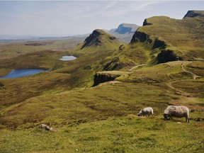 Sheep are a common sight on the unique landscape of The Quiraing. Located on the Isle of Skye, The Quiraing walk is a loop, covering a distance of 6.8 km. Photo by Pamela Roth