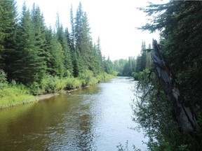 The Embarras River holds Arctic grayling, Athabascan rainbow and brook trout. Neil Waugh/Edmonton Sun