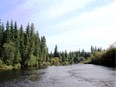 The Little Smoky has a reputation as one of Alberta's finest Arctic grayling creeks. Neil Waugh/Edmonton Sun