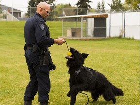 Fozzy and handler Cst. Kelly Lang of the Edmonton canine unit have won a bunch of awards recently. The pair were photographed on Sept. 26, 2018 in Edmonton.