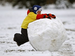 A young boy struggles with a big snowball while building a snowman at Hawrelak Park in Edmonton on Wednesday October 10, 2018. (PHOTO BY LARRY WONG/POSTMEDIA)