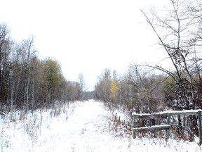 Prime ruffed grouse country. Neil Waugh/Edmonton Sun