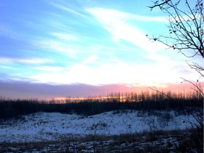 Sundown in the deer woods - the Watch that Begins the Night. Neil Waugh/Edmonton Sun