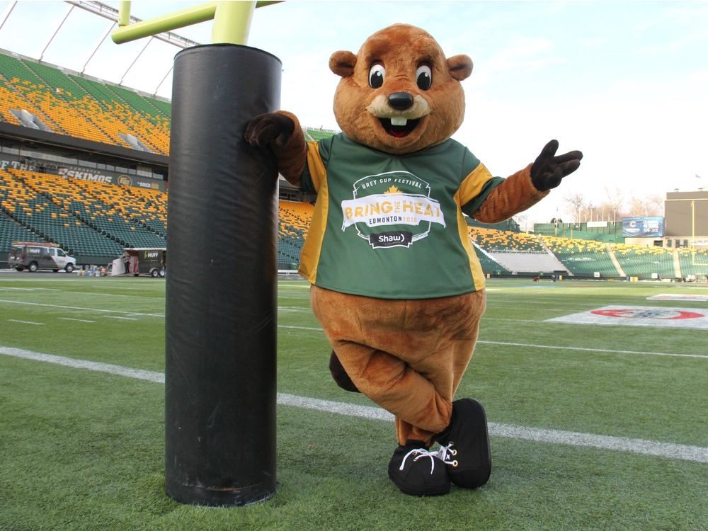 JONES: New mascot unveiled for Grey Cup in Edmonton