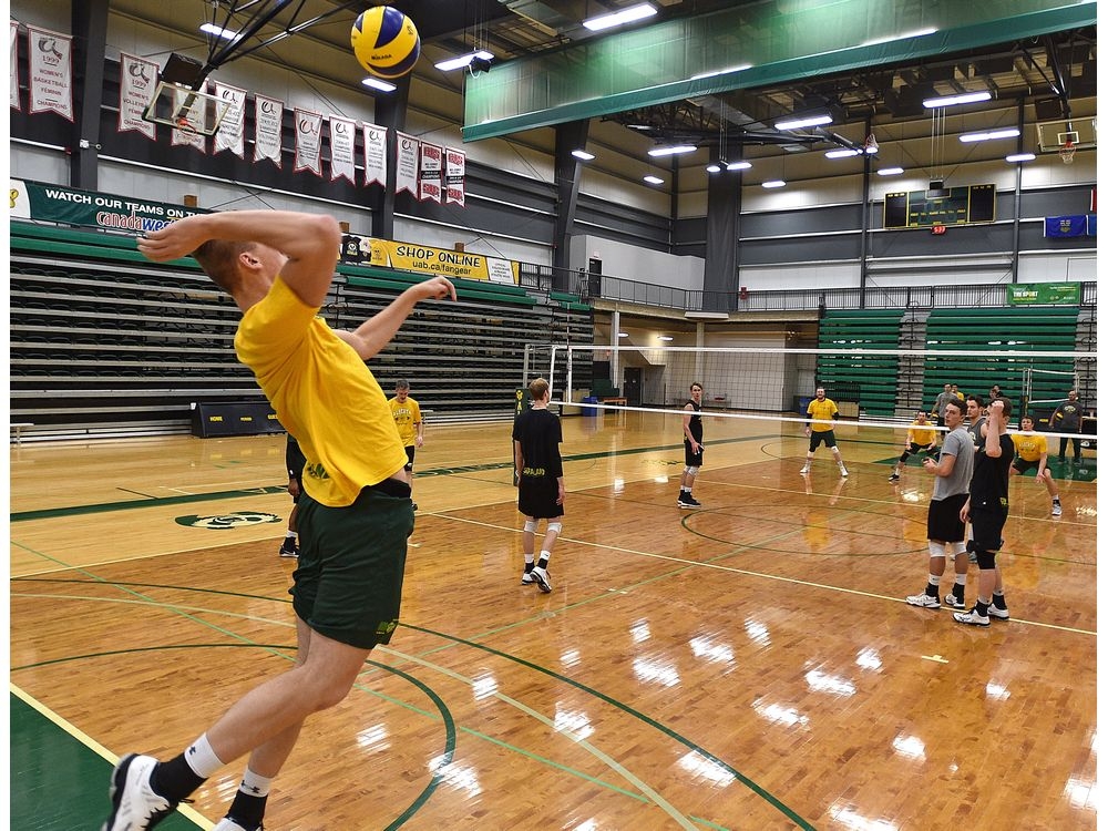 Crosstown university volleyball tilts feature close ties between U of A, MacEwan Edmonton Sun
