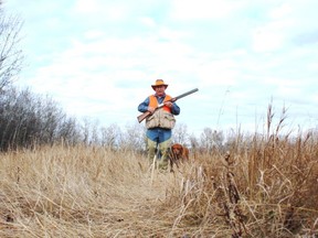 Neil and Penny hunting ring-necked pheasants at an Alberta Conservation Association release site south of Holden. Neil Waugh/Edmonton Sun