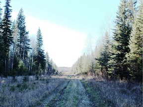 Grouse country oil road south of Lodgepole. Neil Waugh/Edmonton Sun